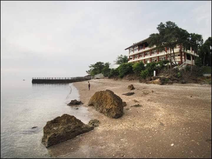 Wuthering Heights Bed & Breakfast By The Sea 杜马格特 外观 照片